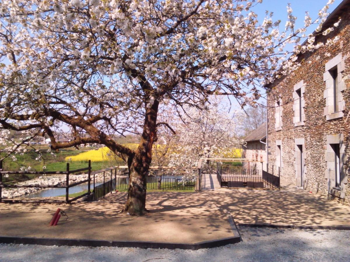 Le Moulin De Bretigneul Bed & Breakfast Saint-Aubin-des-Landes Dış mekan fotoğraf
